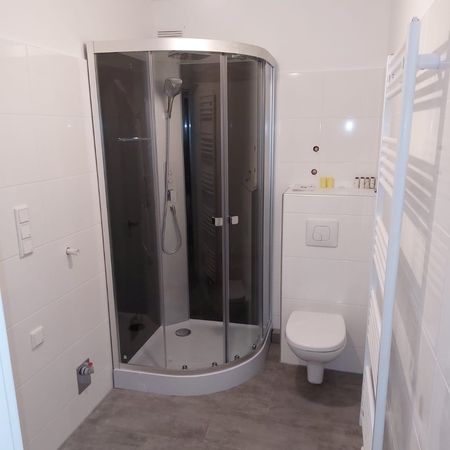 Duschkabine und WC in modernem Design